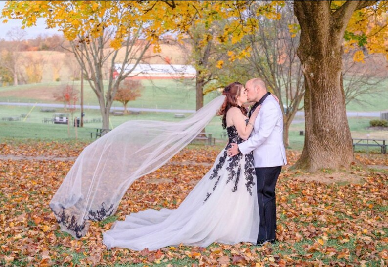 Gorgeous Wedding Lace Veil, Floral Veils for Brides, Soft Tulle Bridal Veils with Comb, free tulle sample